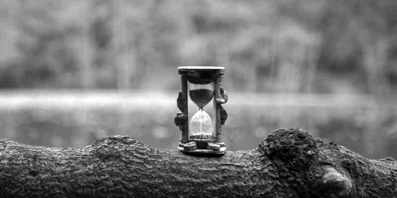 Black and white hourglass on a log