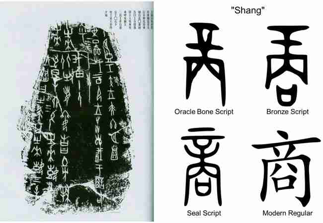 Oracle bone inscriptions and the Shang character in different writing styles