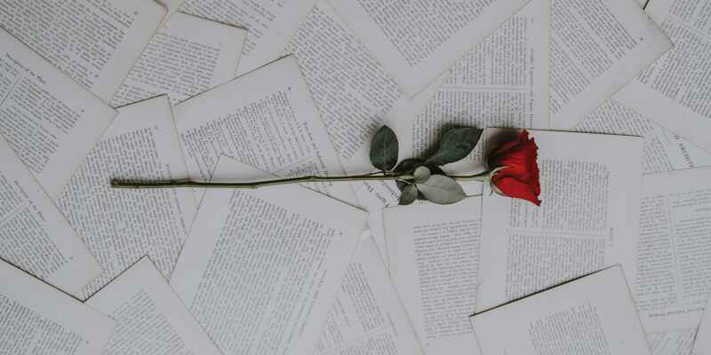 Rose on pages