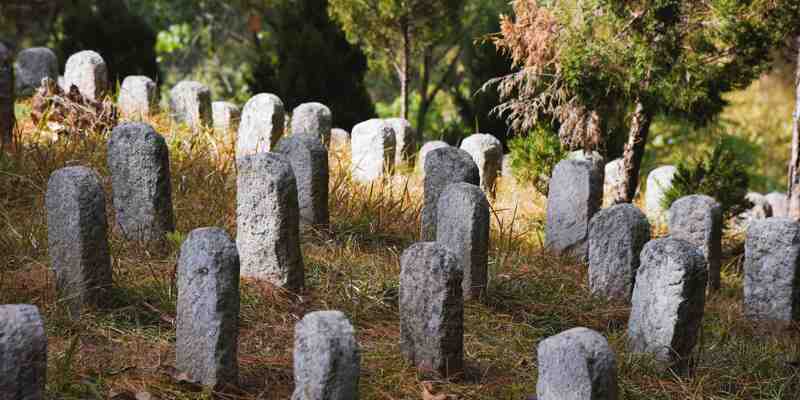 Graves in a field