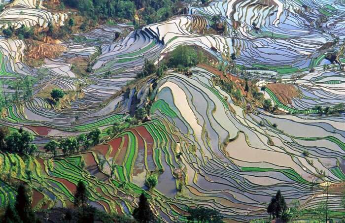 Yunnan terraces that have been developed since Ming